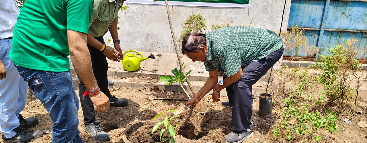 tree_planting_1280x500